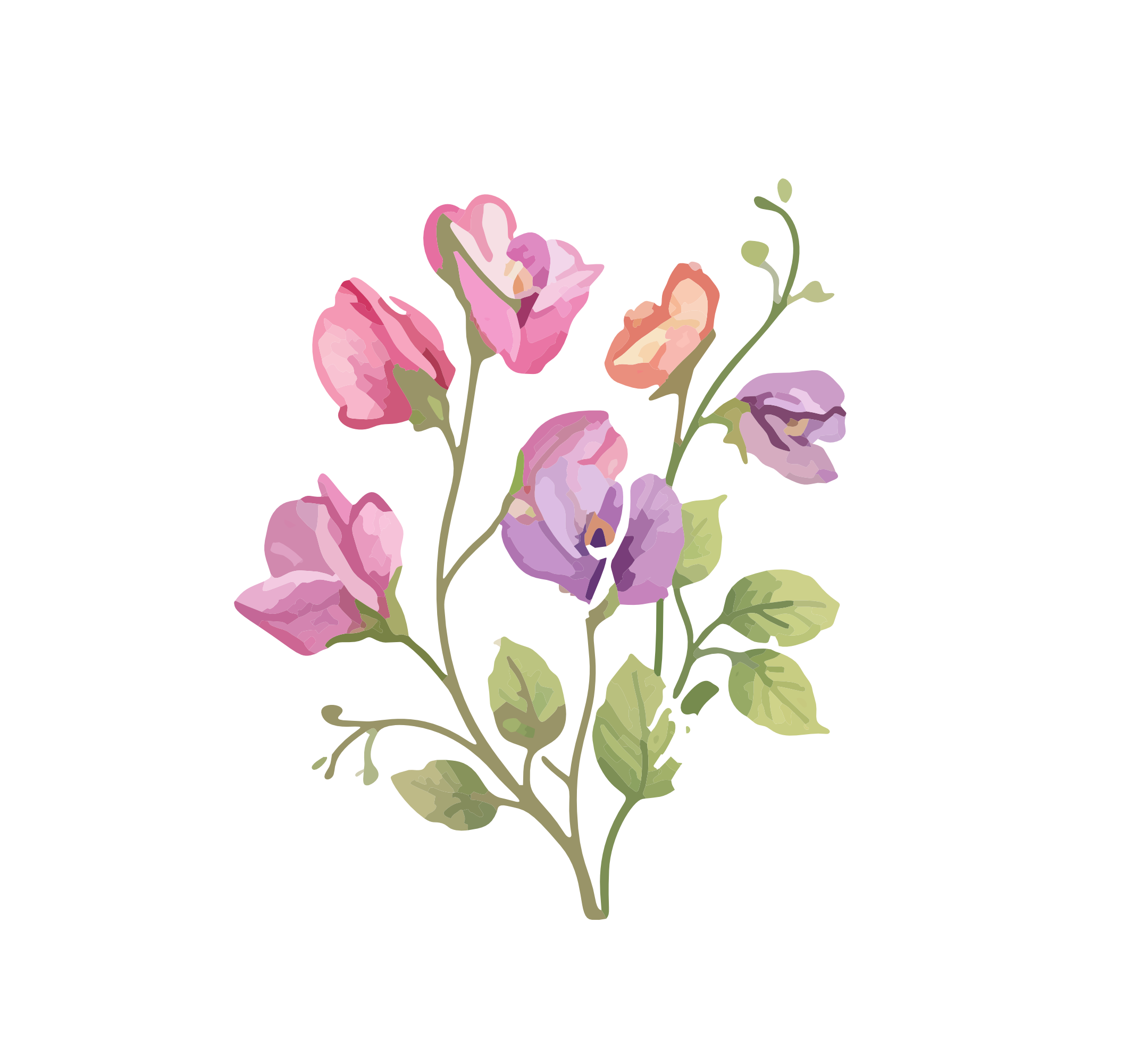 My Hampshire Garden
