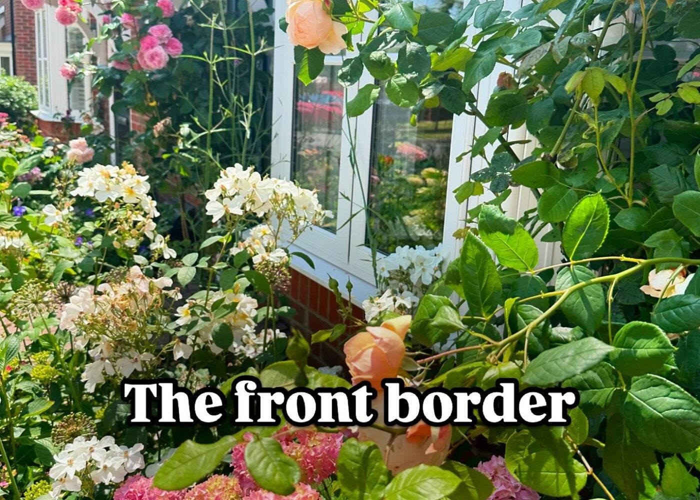 Five minutes in the garden never stays five minutes