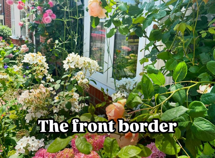 Five minutes in the garden never stays five minutes