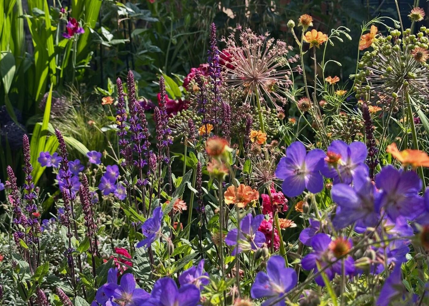 Half term, jewel colours and one good October day