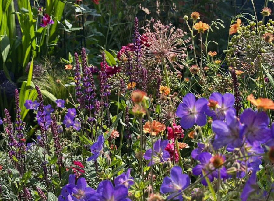 Half term, jewel colours and one good October day