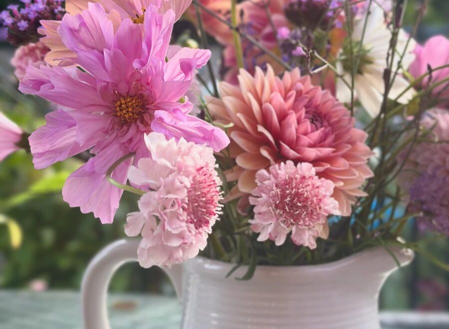 Lifting the dahlias and brightening up the winter pots