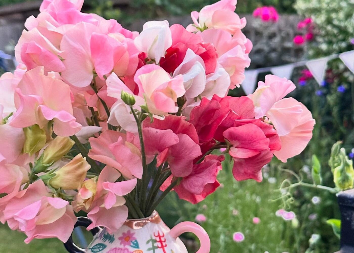 Sweet pea evenings and a garden that feels full